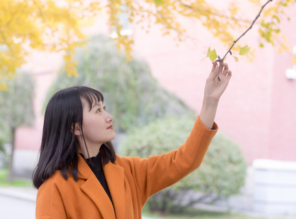 菲律宾碧瑶到马尼拉 碧瑶全面解答